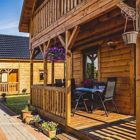 Slonecznikowe Wzgorze Debina (Ustka)