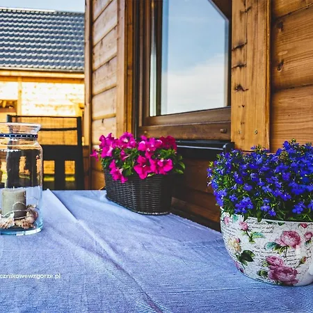 Slonecznikowe Wzgorze Debina (Ustka)